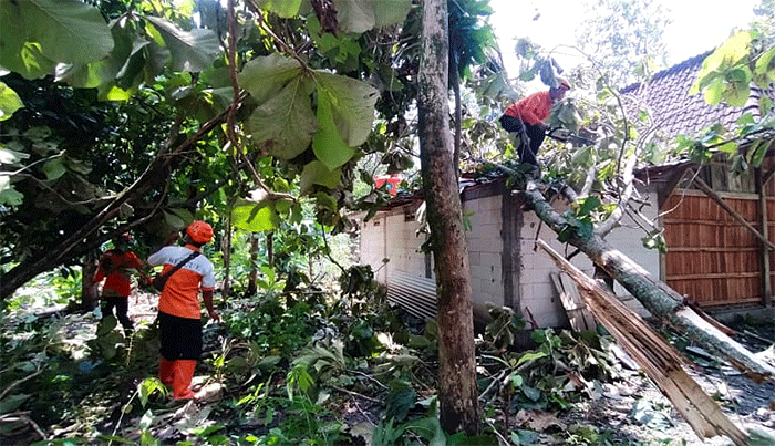 Angin kencang mengakibatkan rumah warga di Kabupaten Grobongan, Provinsi Jawa Tengah, rusak sedang dan ringan.