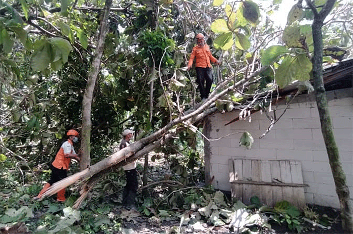 Angin kencang mengakibatkan rumah warga di Kabupaten Grobongan, Provinsi Jawa Tengah, rusak sedang dan ringan.