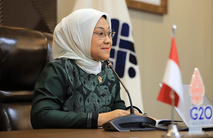 Menurut Ida Fauziyah, ada banyak kriteria yang telah ditetapkan oleh Pemerintah Indonesia yang harus dipenuhi oleh pihak Malaysia dalam MoU tersebut.