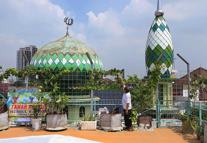Pengurus merawat tanaman anggur di rooftop Masjid Hubbul Wathon, Cempaka Putih, Jakarta Pusat, Selasa (5/4/2022).