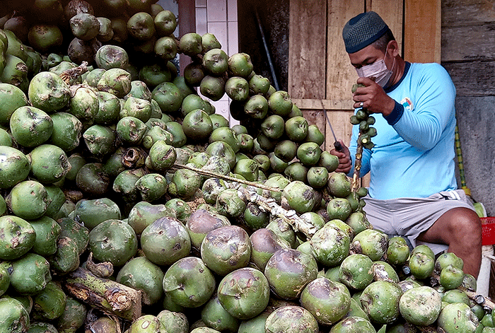 Aktivitas perajin dalam proses pembuatan kolang-kaling di Kampung Kokolaka (Kampung Olahan Kolang-kaling) Jatirejo, Gunungpati, Kota Semarang.