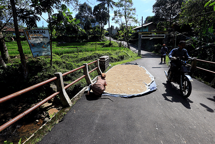Desa Malasari yang teletak di Kecamatan Nangung, Kabupaten, Bogor, Jawa Barat ini merupakan Desa Wisata yang berada di kawasan Taman Nasional Halimun.