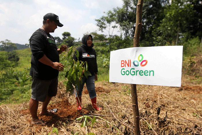 Pengelola Hutan Organik Megamendung Yuhan Subrata dan Perintis Hutan Organik Megamendung Rosita Istiawan saat menanam tanaman keras di kawasan Hutan Organik.
