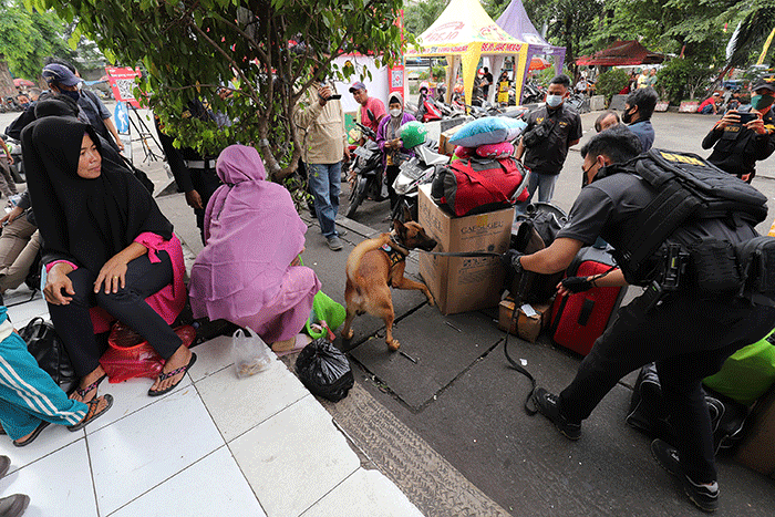 Petugas mengerahkan anjing pelacak K9 BNN untuk memeriksa bus di Terminal Kampung Rambutan, Jakarta, Rabu (27/4/2022).
