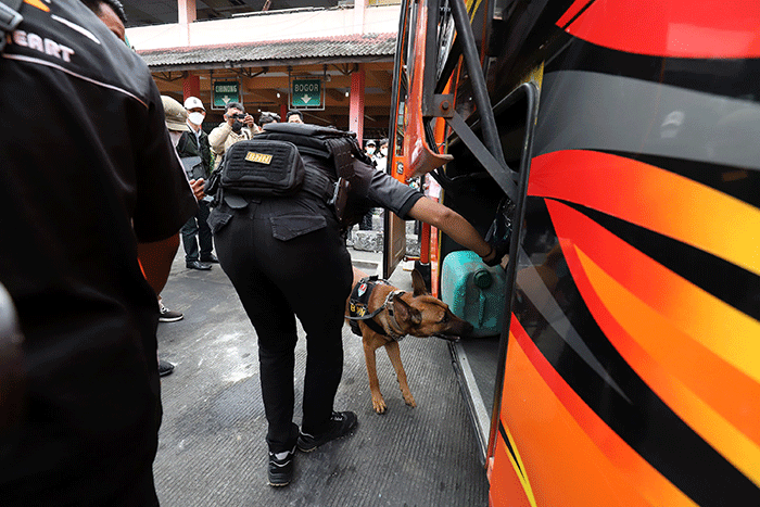 Petugas mengerahkan anjing pelacak K9 BNN untuk memeriksa bus di Terminal Kampung Rambutan, Jakarta, Rabu (27/4/2022).