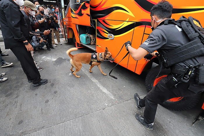 Petugas mengerahkan anjing pelacak K9 BNN untuk memeriksa bus di Terminal Kampung Rambutan, Jakarta, Rabu (27/4/2022).