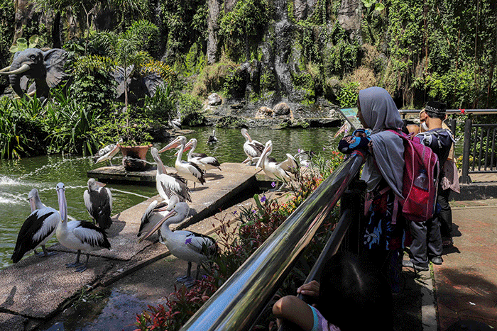 Pengunjung melihat Jerapah di Taman Margasatwa Ragunan, Jakarta Selatan, Selasa (3/5/2022).