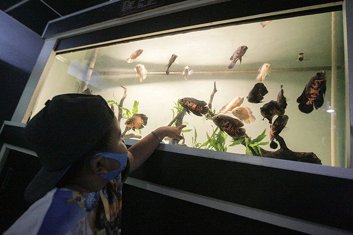 Sejumlah warga saat berkunjung di Dunia Air Tawar dan Museum Serangga, Taman Mini Indonesia Indah, Jakarta Timur, Senin (16/5/2022).