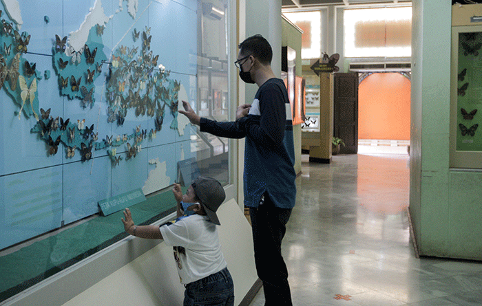 Sejumlah warga saat berkunjung di Dunia Air Tawar dan Museum Serangga, Taman Mini Indonesia Indah, Jakarta Timur, Senin (16/5/2022).
