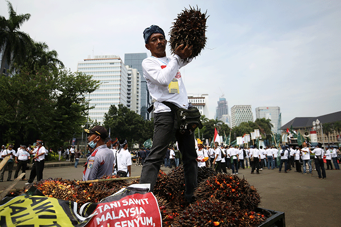 Sejumlah pengunjukrasa yang tergabung dalam Asosiasi Petani Kelapa Sawit Indonesia (Apkasindo) memperlihatkan buah sawit saat berunjuk rasa.