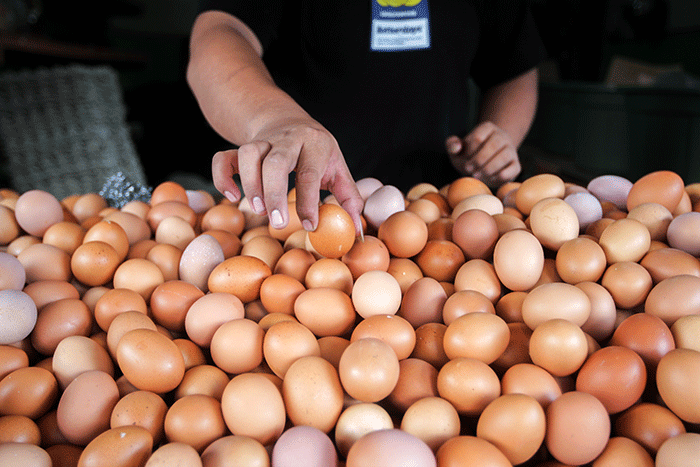 Pedagang telur ayam saat melayani pembeli di kawasan Kampung Makasar, Jakarta Timur, Minggu (29/5/2022).