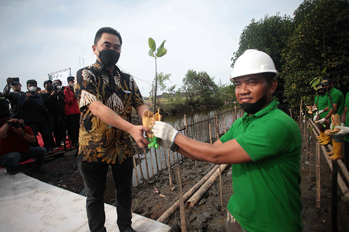 Direktur Utama PT Karya Citra Nusantara, Widodo Setiadi (kiri) menyerahkan bibit mangrove kepada petugas penanam.