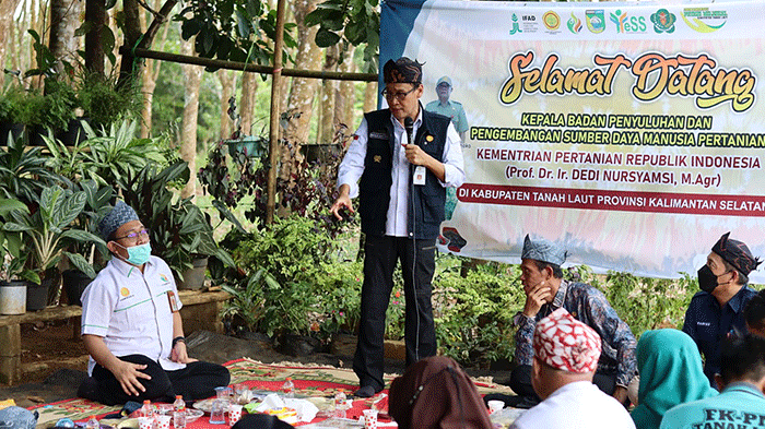 Kepala BPPSDMP, Dedi Nursyamsi saat menghadiri Program Youth Enterpreneurship and Employment Support Services (YESS) di Tanah Laut.