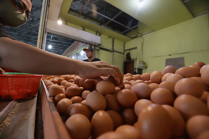 Pedagang menata telur di kawasan Pondok Melati, Kota Bekasi, Jawa Barat, Rabu (8/6/2022).