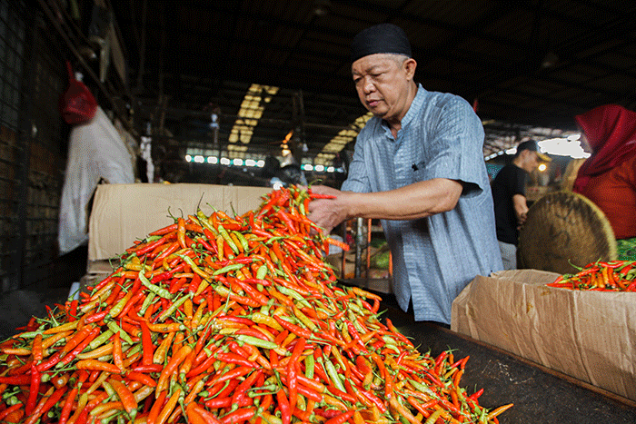 Pedagang saat merapikan cabai rawit merah di Pasar Induk Kramat Jati, Jakarta Timur, Jumat (10/6/2022).