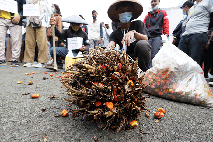 Massa yang tergabung dalam Forum Masyarakat Anti Korupsi melakukan aksi unjuk rasa di kawasan Patung Kuda, Jakarta, Selasa (14/6/2022).