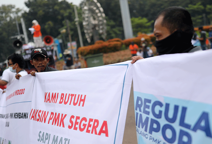 Puluhan Peternak Sapi yang tergabung dalam Komunitas Sapi Indonesia (KSI) melakukan aksi unjuk rasa di kawasan Patung Kuda, Jakarta Pusat, Rabu (15/6/2022).