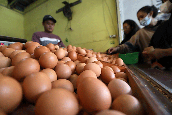 Pedagang telur melayani pembeli di kawasan Pondok Melati, Kota Bekasi, Jawa Barat, Jumat (17/6/2022).