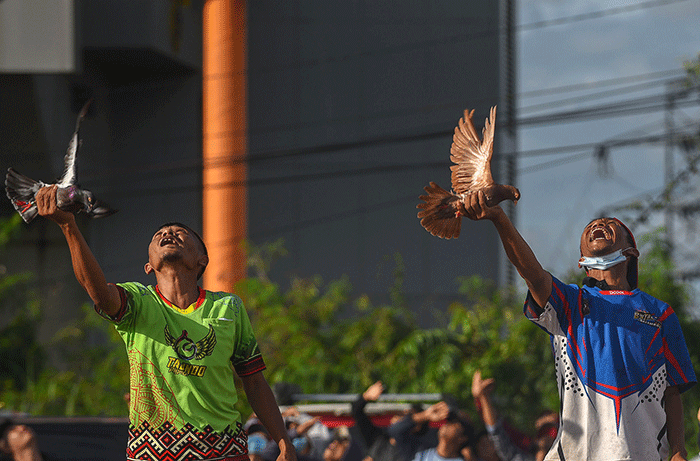 Ribuan peserta dari 10 provinsi dan 20 kabupaten/kota di Indonesia mengikuti Festival Merpati Kolongan Bebas.