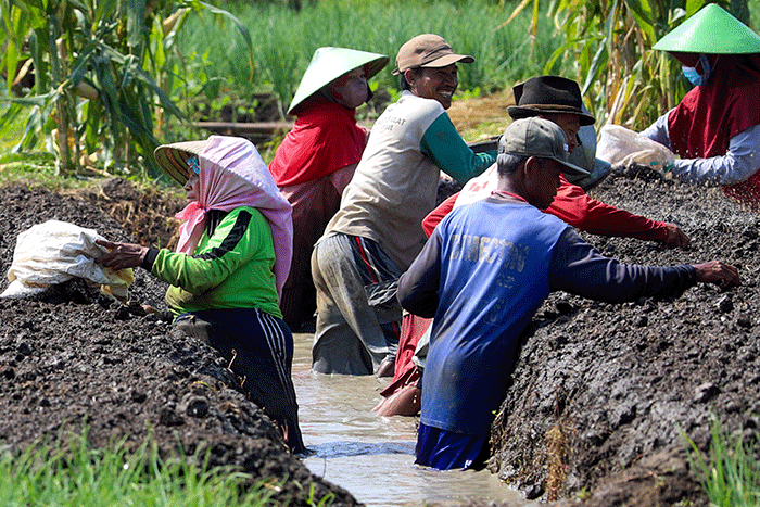 Petani saat menanam bawang merah di Larangan, Brebes, Jawa Tengah, Selasa (5/7/2022).