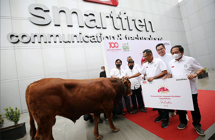 Penyerahan hewan kurban kepada DKM Masjid Jami Assuhaimiah & Masjid Tarihuniyyah di Jakarta, Jumat (8/7/2022).