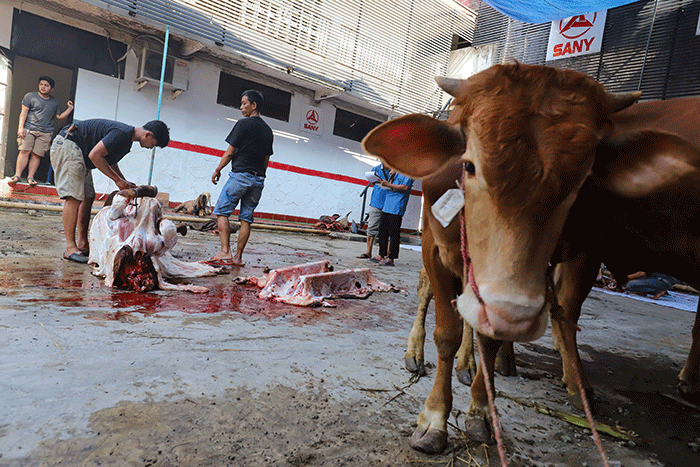 Sejumlah warga memotong daging hewan kurban di Kantor Sekretariat Pimpinan Cabang Muhammadiyah (PCM) Tebet Barat, Jakarta Selatan, Sabtu (9/7/2022).