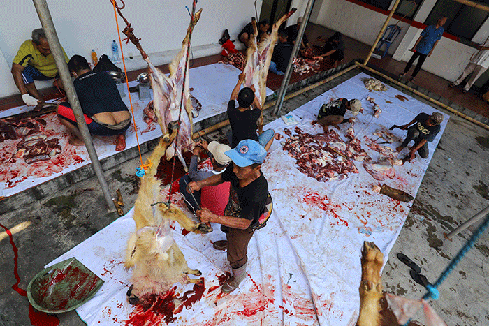 Sejumlah warga memotong daging hewan kurban di Kantor Sekretariat Pimpinan Cabang Muhammadiyah (PCM) Tebet Barat, Jakarta Selatan, Sabtu (9/7/2022).