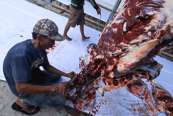 Sejumlah warga memotong daging hewan kurban di Kantor Sekretariat Pimpinan Cabang Muhammadiyah (PCM) Tebet Barat, Jakarta Selatan, Sabtu (9/7/2022).