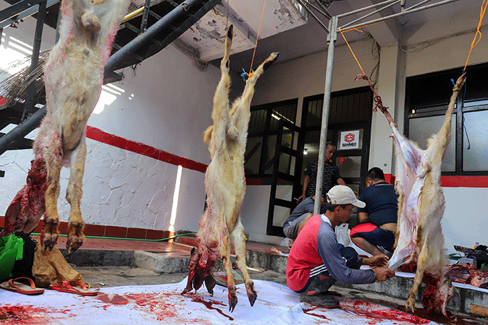 Sejumlah warga memotong daging hewan kurban di Kantor Sekretariat Pimpinan Cabang Muhammadiyah (PCM) Tebet Barat, Jakarta Selatan, Sabtu (9/7/2022).