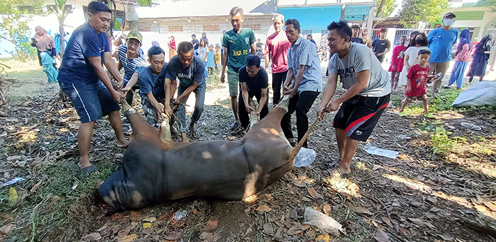 Sejumlah warga memotong daging hewan kurban di kawasan Pedurenan, Kota Bekasi, Jawa Barat, Minggu (10/7/2022).