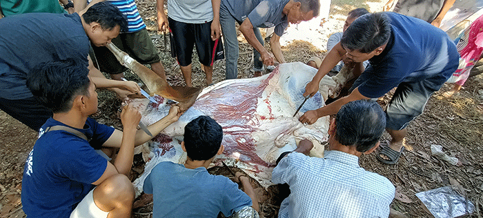 Sejumlah warga memotong daging hewan kurban di kawasan Pedurenan, Kota Bekasi, Jawa Barat, Minggu (10/7/2022).