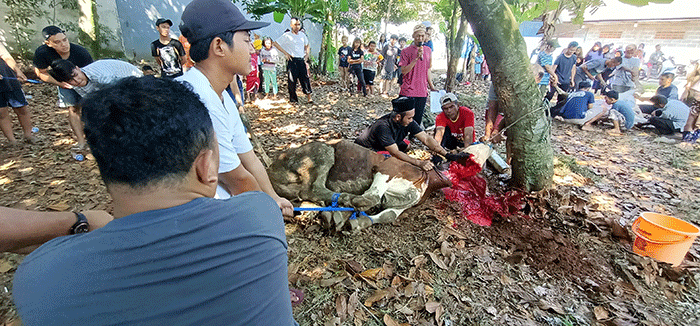 Sejumlah warga memotong daging hewan kurban di kawasan Pedurenan, Kota Bekasi, Jawa Barat, Minggu (10/7/2022).