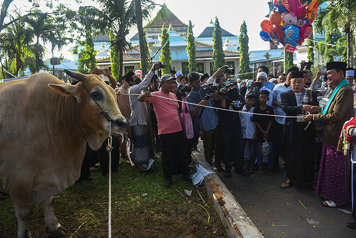 Suasana pemotongan hewan kurban Idul Adha 1443 H di halaman Yayasan Pendidikan Sjakhyakirtidi Jalan Sultan Muhammad Mansyur, Palembang, Minggu (10/7/2022).