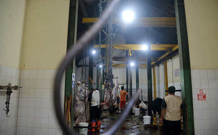 Aktivitas tukang jagal saat melakukan penyembelihan hewan kurban di Rumah Pemotongan Hewan (RPH) Kabupaten Semarang, Jawa Tengah, Senin (11/7/2022).