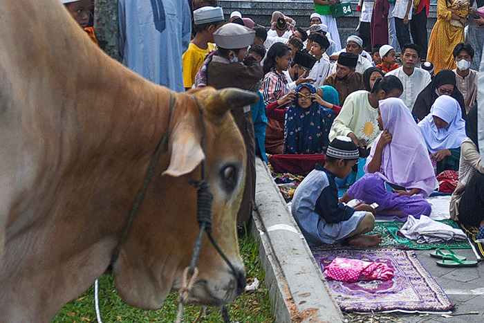 Ribuan umat Muslim Kota Palembang menunaikan salat Idul Adha 1443 H di Masjid Agung Sultan Mahmud Badaruddin I Jayo Wikramo, Palembang, Minggu (10/7/2022).