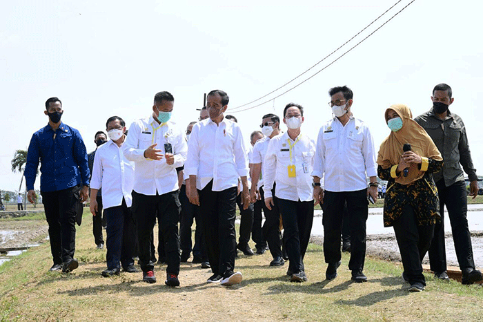Presiden Joko Widodo meninjau langsung Balai Besar Penelitian Tanaman Padi (BBPadi) di Kabupaten Subang, Jawa Barat, Selasa (12/7/2022).