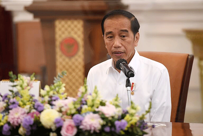 Rapat terbatas yang dipimpin oleh Presiden Joko Widodo di Istana Merdeka, Jakarta, Senin, 18 Juli 2022.