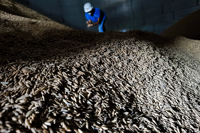 Direktur Utama Bulog Budi Waseso meninjau langsung infrastruktur pengolahan beras modern atau modern rice milling plant (MRMP) di Kendal, Jawa Tengah.
