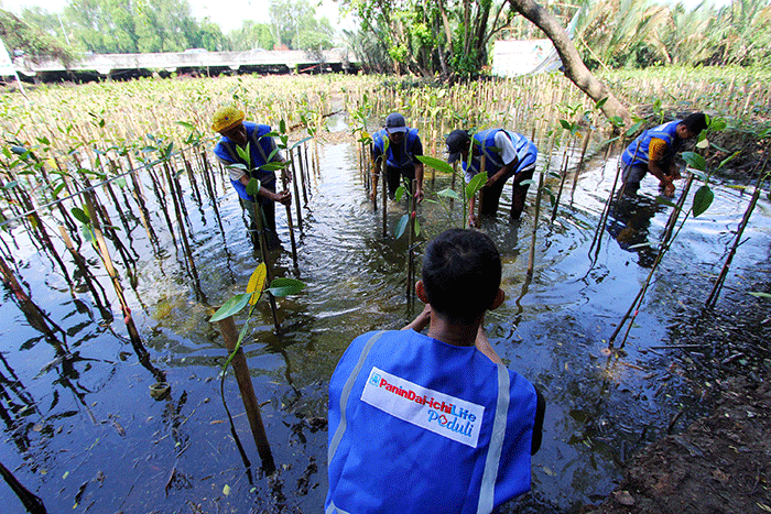 Panin Dai-ichi Life bersama tim manajemen dan karyawan berpartisipasi dalam program penanaman 1.000 pohon mangrove.