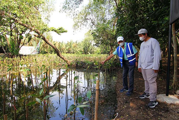 Panin Dai-ichi Life bersama tim manajemen dan karyawan berpartisipasi dalam program penanaman 1.000 pohon mangrove.