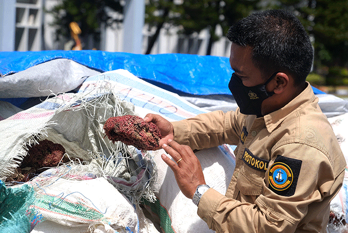TNI AL berhasil menggagalkan penyelundupan 320 koli terumbu karang merah senilai Rp2,5 miliar di pelabuhan Biringkassi Kabupaten Kepulauan Pangkep.