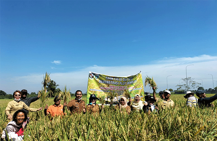 Program SIMURP merupakan salah satu program andalan Kementan melalui penerapan teknologi andalannya yaitu, Climate Smart Agriculture (CSA).