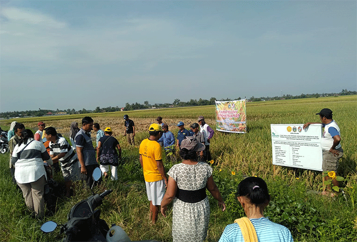 Kegiatan ini dilakukan untuk menggali potensi, masalah, dan hambatan yang ditemui oleh para petani dalam melaksanakan kegiatan usahatani.