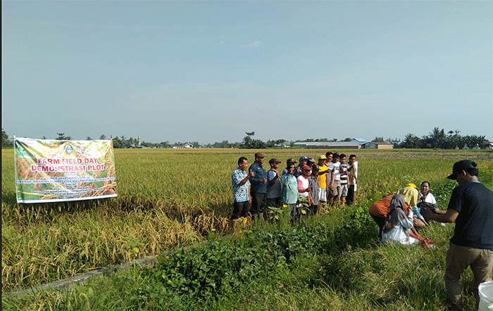 Kegiatan ini dilakukan untuk menggali potensi, masalah, dan hambatan yang ditemui oleh para petani dalam melaksanakan kegiatan usahatani.