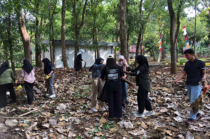 Mahasiswa baru Universitas Negeri Semarang membersihkan sampah plastik di lingkungan kampus dalam kegiatan Program Pengenalan Kehidupan Kampus Mahasiswa Baru.