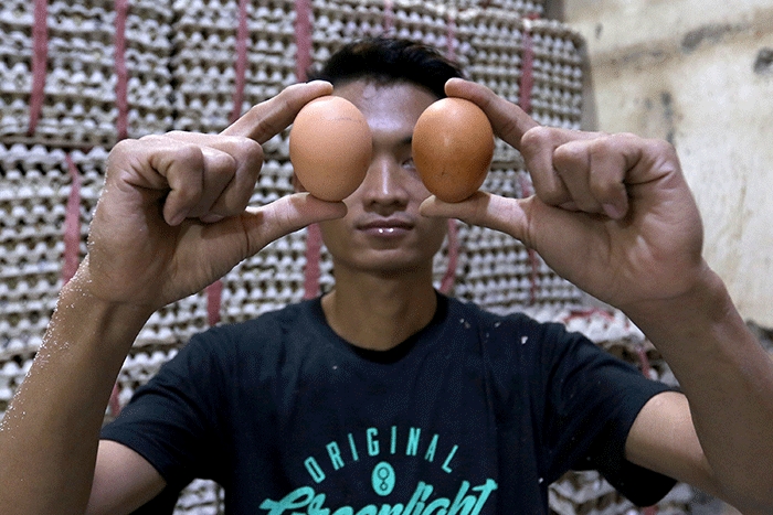 Pedagang menata telur ayam di Jakarta, Senin (22/8/2022).