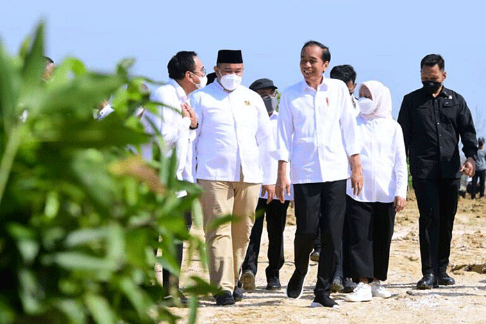 Presiden Jokowi Luncurkan Lumbung Pangan Berbasis Mangga Dan Taksi ...