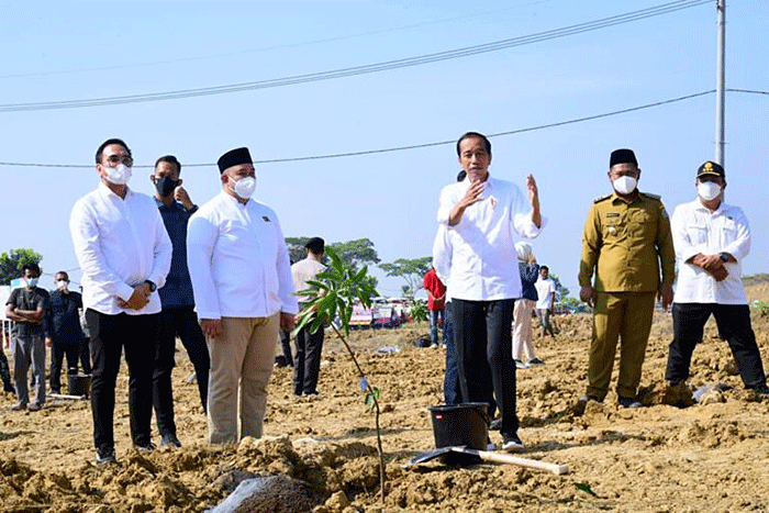 Presiden Joko Widodo didampingi Ibu Iriana Joko Widodo meluncurkan lumbung pangan berbasis mangga dalam kunjungan kerjanya ke Kabupaten Gresik.
