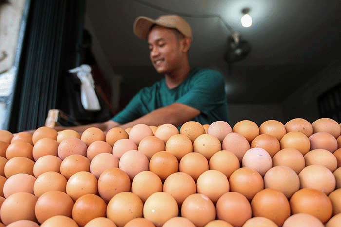 Pedagang telur saat merapikan dagangannya di kawasan Jakarta Timur, Kamis (25/8/2022).