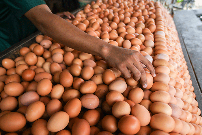 Pedagang telur saat merapikan dagangannya di kawasan Jakarta Timur, Kamis (25/8/2022).
